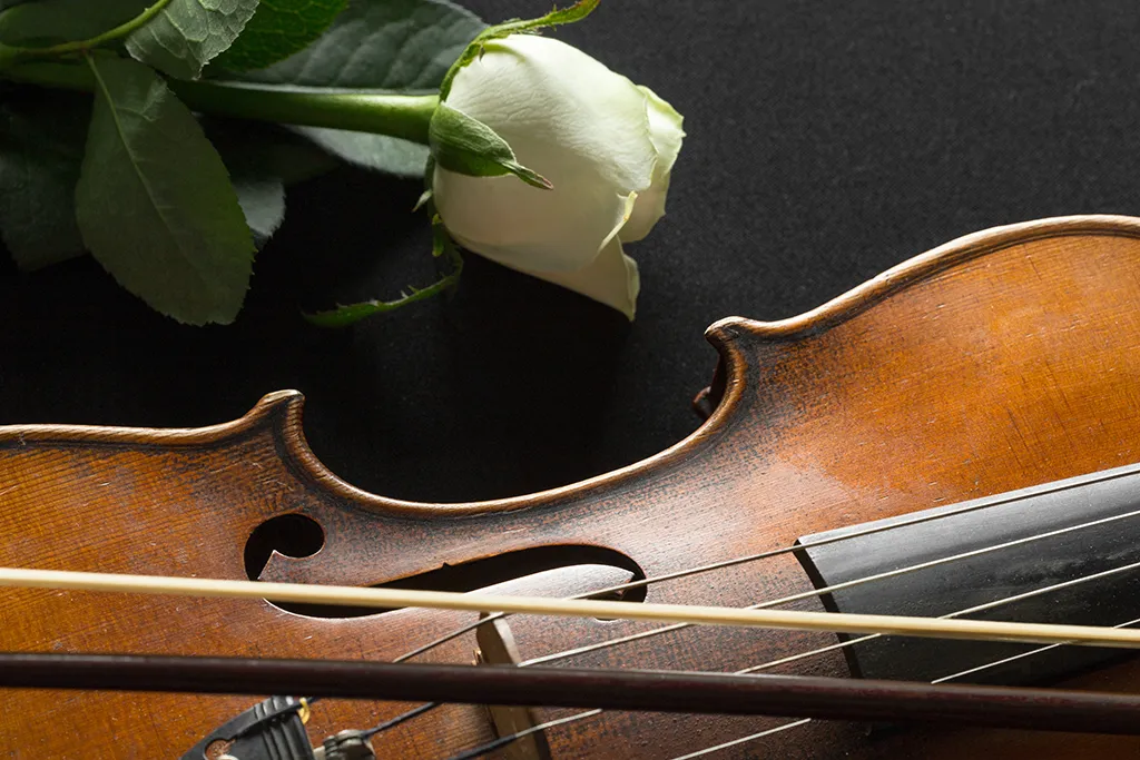 Nauka gry na skrzypcach - zdjęcie instrument przygotowanego do lekcji